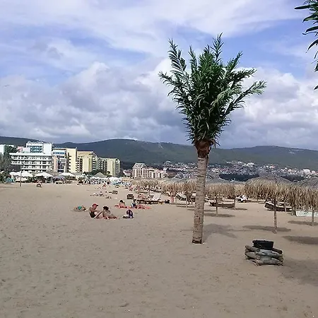 Palm Kort 阳光海滩